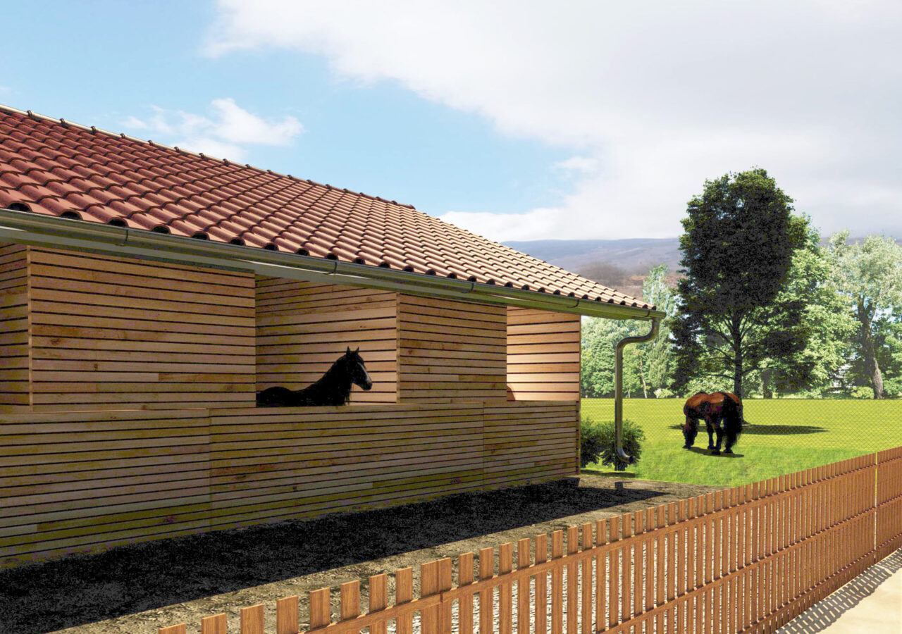 Конна база - снимка 3